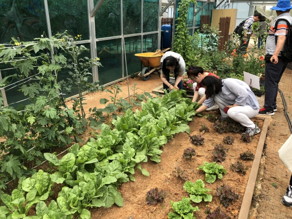 도시농업전문가과정교육(사진 인천농업기술센터)
