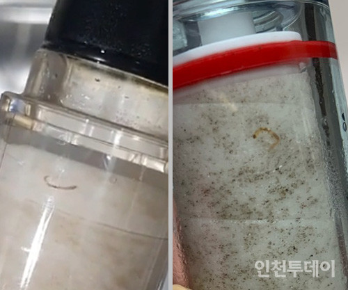 인천 서구지역 한 맘카페에 올라온 수돗물에서 발견된 유충 사진들.(출처 서구지역 맘카페)