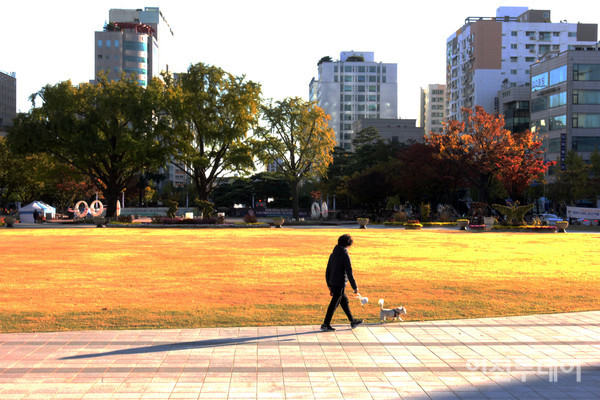 인천시청 정문 앞 인천애뜰 잔디마당.