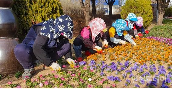 월미공원사업소 직원들이 꽃을 심고 있다. (사진제공 인천시)