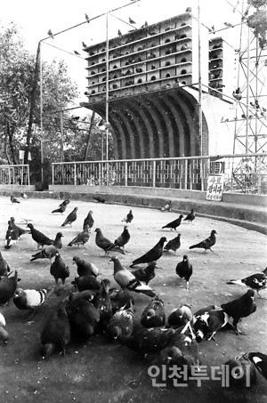 자유공원 비둘기장(M경기도멀티미디어 제공, 1969.07)
