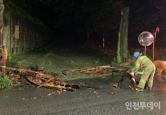 소방대원들이 인천에서 발생한 집중호우로 인해 쓰러진 나무를 안전 조치 하고 있다. (사진제공 인천소방본부)