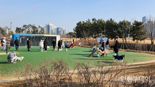 인천 연수구 송도달빛공원에 건립된 반려동물 놀이터의 모습.(사진제공 인천시)