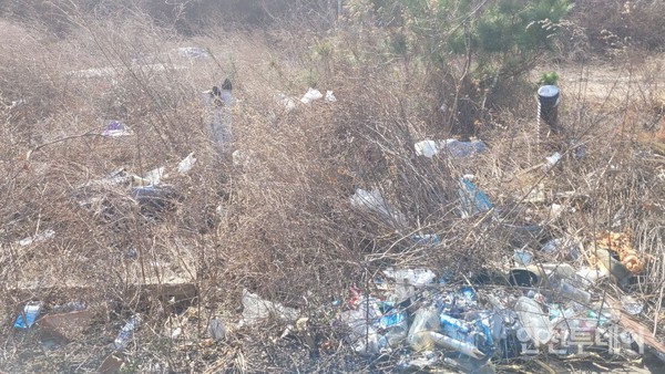 인천 중구 영종국제도시 내 영종하늘도시 14호소 공원 근처 방치된 쓰레기.