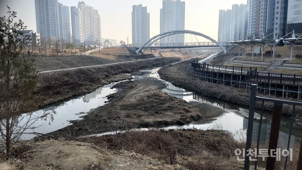 검신연구소가 카페에 올린 인천 서구 검단신도시 내 계양천의 모습.(출처 검신연구소)