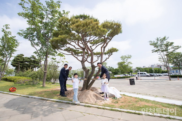 인천 서구가 31일 인천아시아드주경기장 남측광장에 인구 60만명 돌파를 기념해 100년생 소나무를 식수했다.(사진제공 인천 서구)