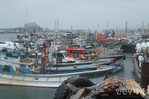 인천항 연안부두 물양장에 정박한 어선들.