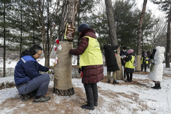 지난 20일 지엠 한마음재단코리아가 인천 부평구 삼산동 소재 박물관공원에서 나무에 옷을 입히는 봉사활동을 하고 있다.(사진제공 한마음재단)