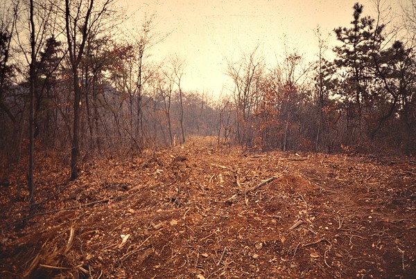 1991년 ‘계양공원’ 진입도로 공사로 벌목된 나무들.