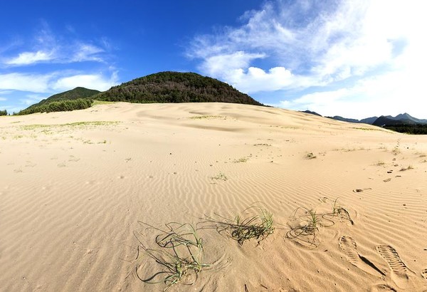 대청도 모래사막 (사진제공 인천관광공사)