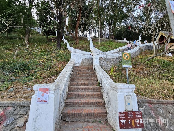 탐모 사찰(WATH THAMMO THAYA RAM)’로 오르는 가파른 계단길.