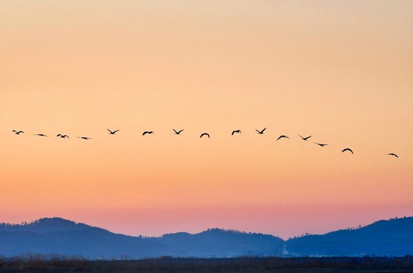 최순애 작가의 '가을날의 석양'