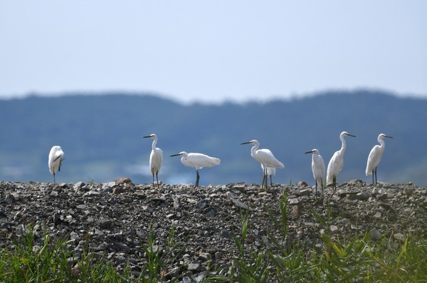 최순애 작가의 '기다림'