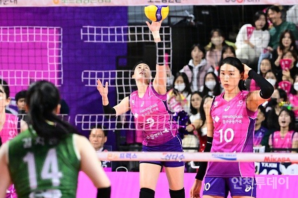 흥국생명은 인천을 연고로 하는 프로배구단 핑크스파이더스를 창단했다.