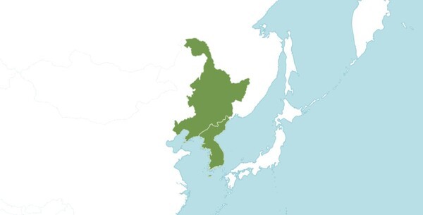 좀바위솔 분포도. 녹색이 자생지, 보라색이 도입지. 영국 큐 왕립식물원 Plants of the World Online.