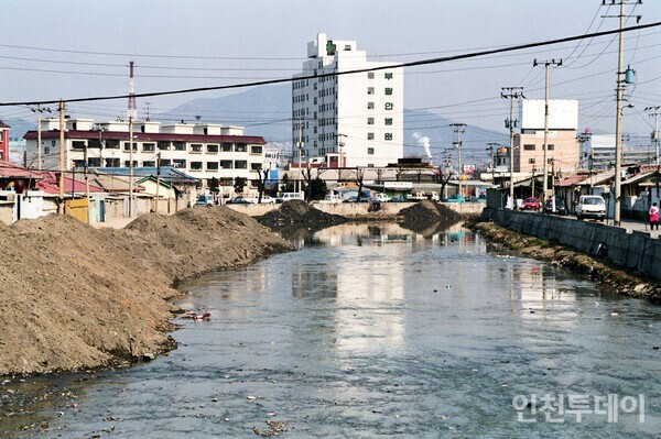 봄이 오면 벚꽃이 핀다. 잉어가 물길을 거슬러 오른다. 새가 나르고, 사람들이 자연을 만끽한다. 여기가 바로 굴포천이다. 2024년 4월 기후변화체험관 인근에서 촬영. (사진제공 부평구)