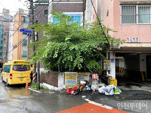 [연재] 졌다, 인천 부평 뽕나무