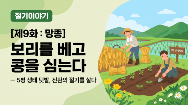 [도시농부이야기] <b>망종</b>, 보리를 베고 콩을 심는다