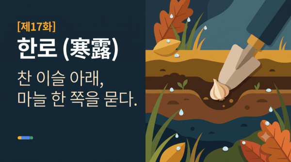 [도시농부이야기] <b>한로</b>, 찬 이슬 아래 마늘 한쪽을 묻다