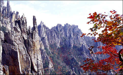 민족 최대 명산 금강산에 오르다